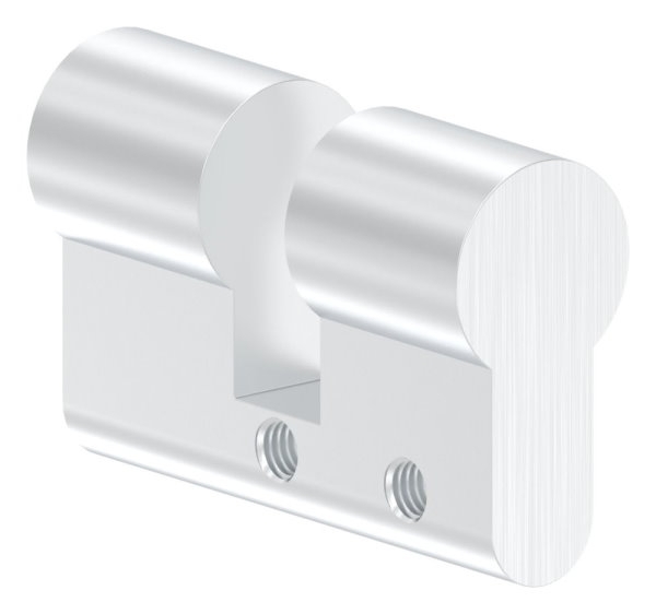 Profil-Blindzylinder L 50 mm fuer 10-40 und 25-25 mit Stulpschraube M5x80-88-118591.50