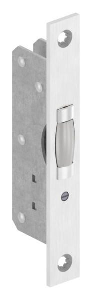 Pendeltuer-Fallenschloss-88.1140115