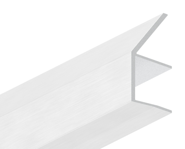 Regenrinne fuer Vordaecher Aluminium fuer Glas 17-52 mm L = 2000 mm eloxiert E4-EV1-88-11VDE-RE-2000.17