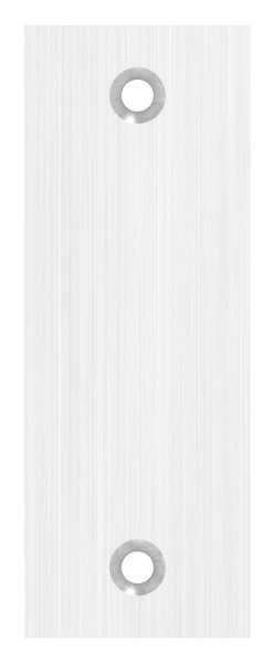 Kurzschild blind- Abmessung- 32 x 87 x 6mm- V2A-88-1110652.240