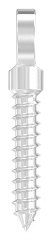 Augenschraube V4A Holzgewinde 8 mm flacher Kopf-11-2998.1