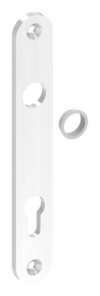 Langschild- Abmessung- 32 x 220 x 6mm- V2A-88-1110690.240