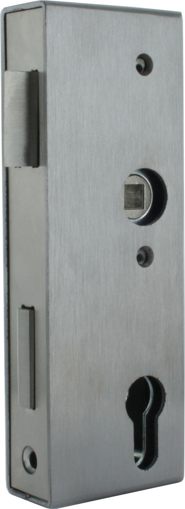 Kastenschloss Stahl 30x60x172 mm mit verzinktem Schloss-88.113807