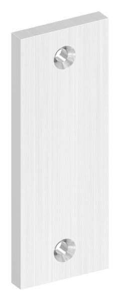 Kurzschild blind- Abmessung- 32 x 87 x 6mm- V2A-88-1110652.240