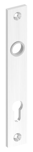 Langschild- Abmessung- 32 x 220 x 6mm- V2A-88-1110691.240