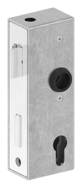 Schlosskasten - Masse- 173x60x40 mm - Dorn- 40 mm - Stahl -roh- S235 JR-30-3201.8