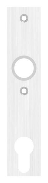 Langschild- Abmessung- 32 x 156 x 6mm- V2A-88-1110686.240