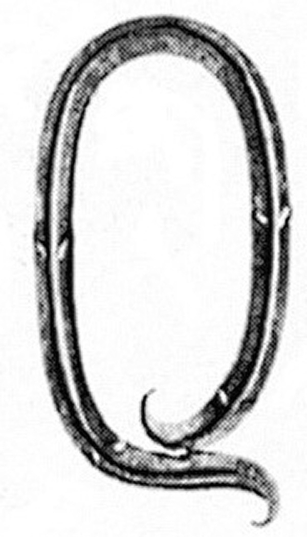 Buchstabe Q - Gross - 180x100 mm - Stahl -Roh- S235JR-30-3136.8